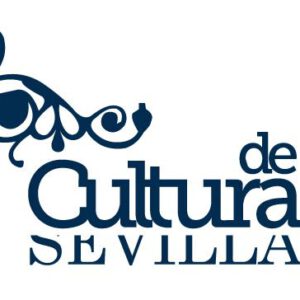 Técnico de Cultura Diputación Prov. Sevilla