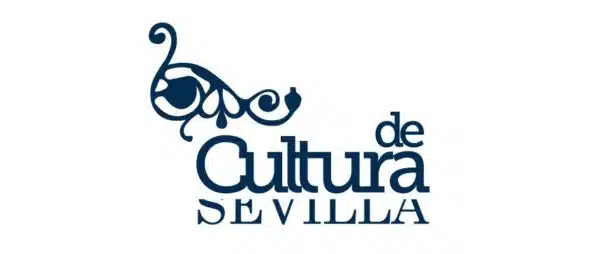 Técnico de Cultura Diputación Prov. Sevilla