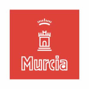 ordenanza Murcia