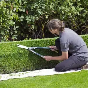 Oficial Jardinería Madrid