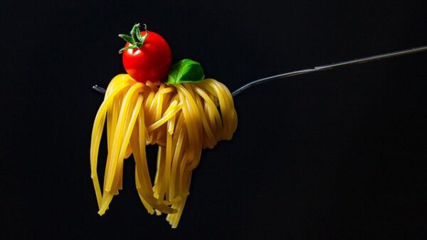 Cocina y Gastronomía IMSERSO