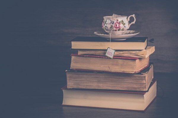 Auxiliar de Bibliotecas San Javier