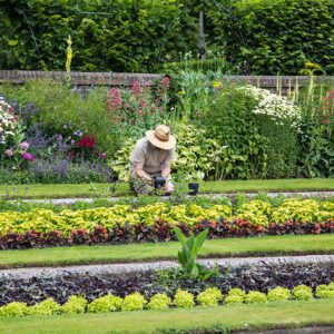 Oficial Jardinería Hervás