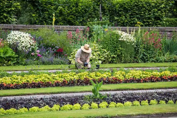 Oficial Jardinería Hervás