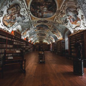 Auxiliar Bibliotecas Ministerio Cultura