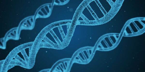 dna-ge8fa4fb68_640