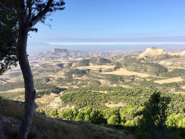Guarda Montes Tauste