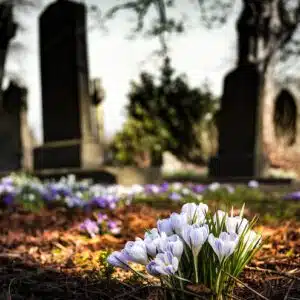 Ayudante Cementerio Puertollano