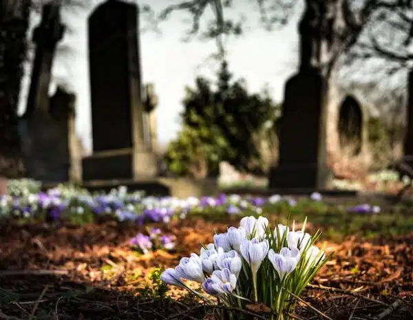 Ayudante Cementerio Puertollano