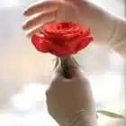 Traslado pacientes sanitarios E1 Interior