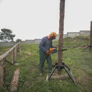 Aprovechamiento y Conservación Medio Natural