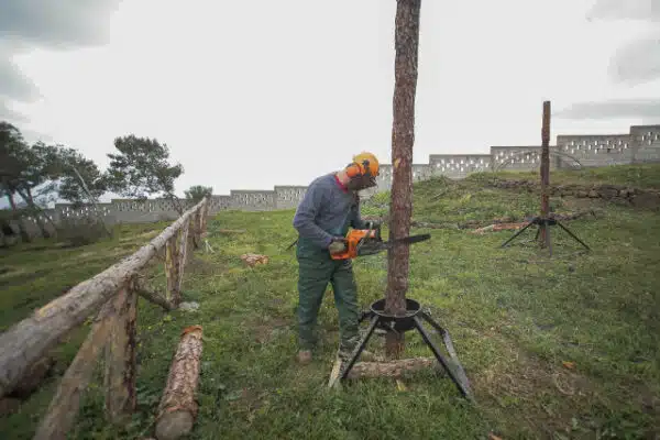 Aprovechamiento y Conservación Medio Natural