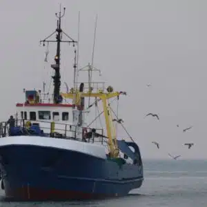 Transporte Marítimo y Pesca de Altura Cultura