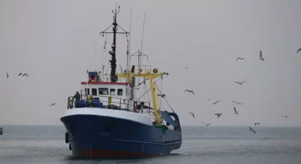 Transporte Marítimo y Pesca de Altura Cultura