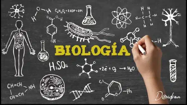 Formación Sanitaria Especializada para Biología