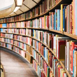 Auxiliar Biblioteca Pinto
