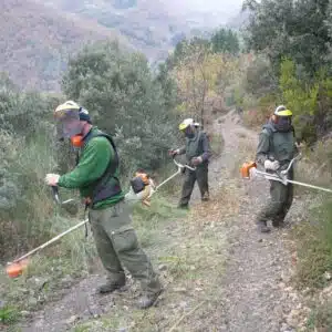 Operario Servicios Múltiples Villanueva de Gállego