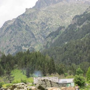 Técnico Servicios Medioambientales Huesca