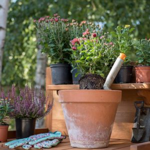 Oficial de Jardines Elda