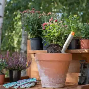 Oficial de Jardines Elda