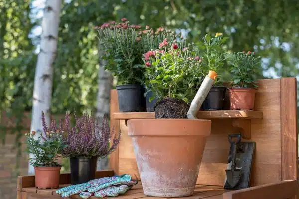 Oficial de Jardines Elda