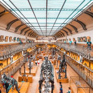 Cuerpo Superior Facultativo Arqueología Junta Andalucía