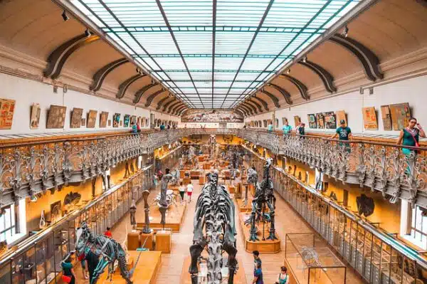 Cuerpo Superior Facultativo Arqueología Junta Andalucía