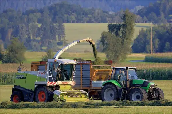 Ingeniero Técnico Agrícola Almería
