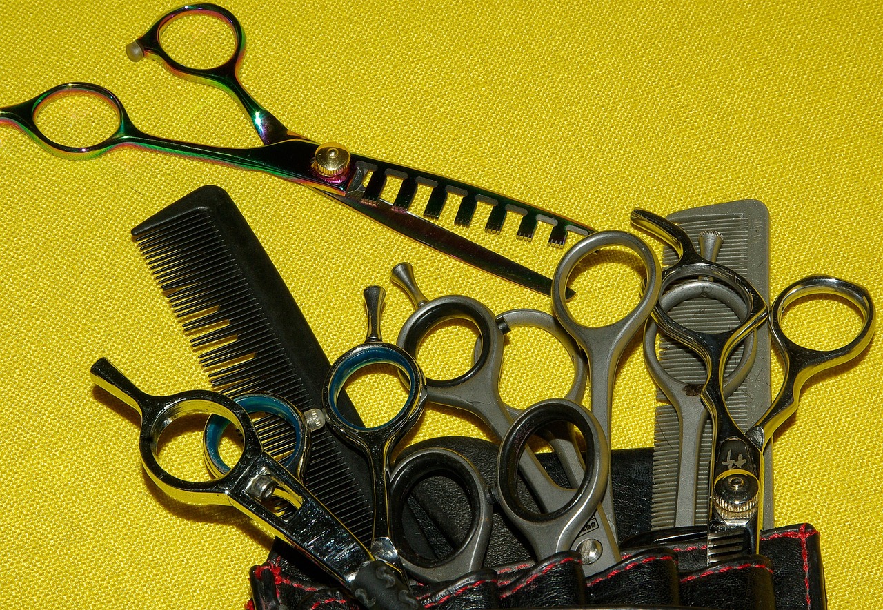 Peluquero Servicio Aragonés de Salud