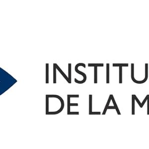 Oposición ISM 2026