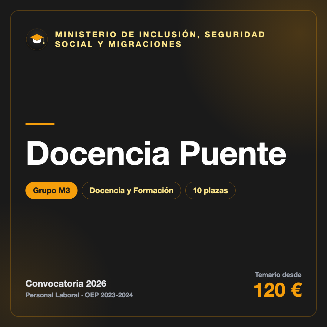 docencia-programa-2-puente-inclusion