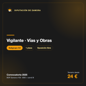 Vigilante C2 · Diputación de Zamora