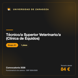 Técnico/a Superior Veterinario/a (Clínica de Équidos) A1 · Universidad de Zaragoza